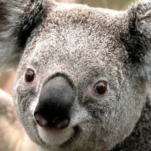 Meet your Posher, Nate